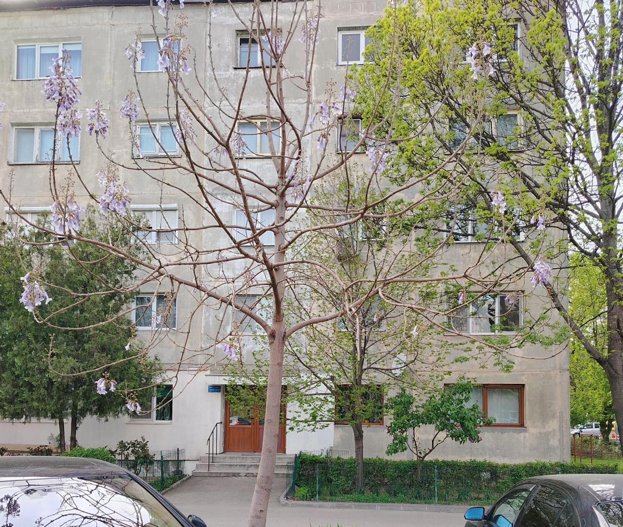 Arka Apartment Craiova Kültér fotó